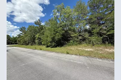 Sw 88th Avenue, Ocala, FL 34473 - Photo 4