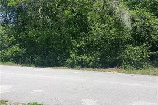 Bluffview Dr, Spring Hill, FL 34609 - Photo 1