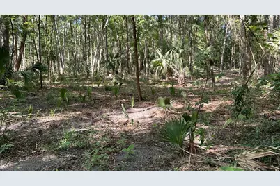 Se 130th Street, Belleview, FL 34420 - Photo 6