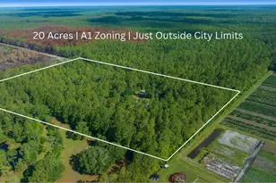 11521 SE 1st Street Rd, Silver Springs, FL 34488 - Photo 58