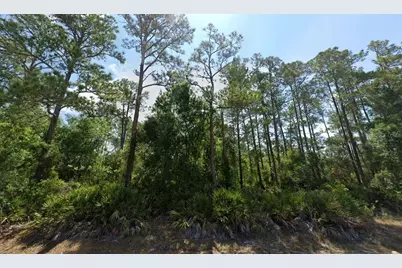 6509 Dian Avenue, Sebring, FL 33875 - Photo 2