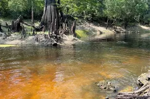 4059 McKethan Rd, Dade City, FL 33523 - Photo 10