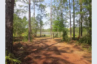 0 SE 10th Street, Silver Springs, FL 34488 - Photo 42