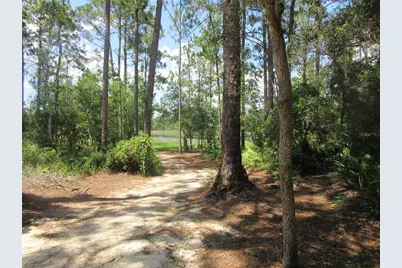 0 SE 10th Street, Silver Springs, FL 34488 - Photo 30