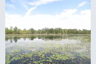 0 SE 10th Street, Silver Springs, FL 34488 - Photo 6