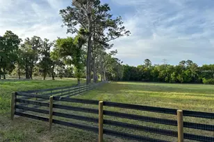 5201 W Hwy 329, Reddick, FL 32686 - Photo 1