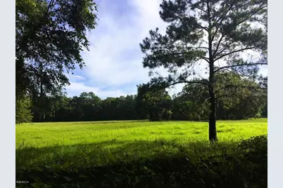 5201 W Highway 329, Reddick, FL 32686 - Photo 2