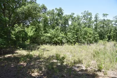 21312 NE 69th Place, Melrose, FL 32666 - Photo 4