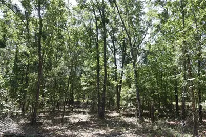 21312 NE 69th Place, Melrose, FL 32666 - Photo 24