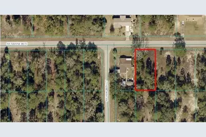 Tba SW Marine Blvd, Dunnellon, FL 34431 - Photo 1