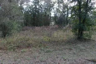 6700 E Haynes Ln, Inverness, FL 34452 - Photo 1