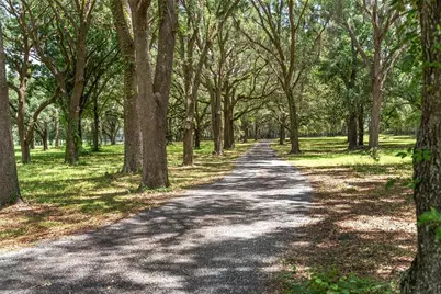 9450 NW 150th Avenue, Morriston, FL 32668 - Photo 2