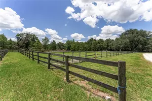 9450 NW 150th Ave, Morriston, FL 32668 - Photo 40