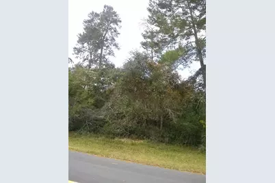 00 Marion Oaks Boulevard, Ocala, FL 34473 - Photo 2