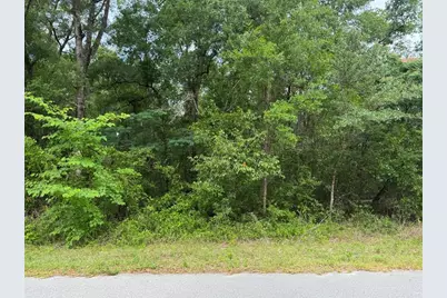 Lot 14 SW Chanel Heights Court, Dunnellon, FL 34431 - Photo 1