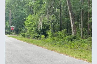 Lot 14 SW Chanel Heights Court, Dunnellon, FL 34431 - Photo 2