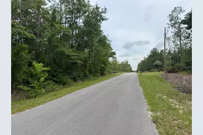 Lot 14 SW Chanel Heights Court, Dunnellon, FL 34431 - Photo 4