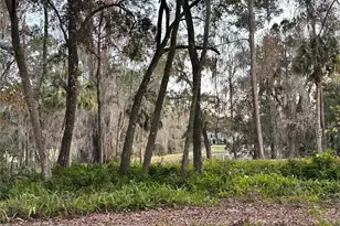 4305 SW 20th Ave, Ocala, FL 34471 - Photo 66