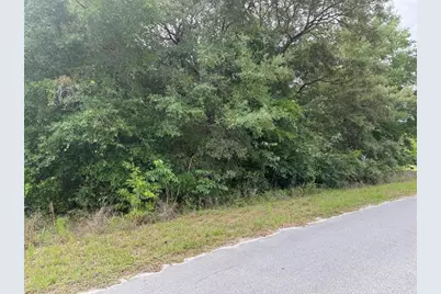 Lot 422 & 423 SW Shorewood Drive, Dunnellon, FL 34431 - Photo 2