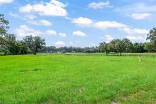 402 SW 127th Pl, Ocala, FL 34473 - Photo 78