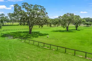 402 SW 127th Pl, Ocala, FL 34473 - Photo 78