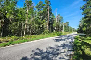 00 Fisher Trail, Ocklawaha, FL 32179 - Photo 1