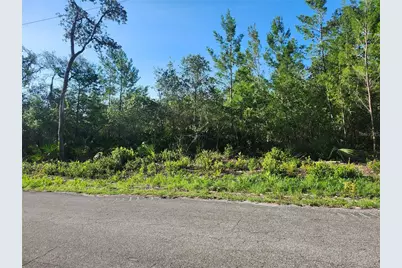 00 Fisher Trail, Ocklawaha, FL 32179 - Photo 8