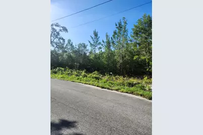00 Fisher Trail, Ocklawaha, FL 32179 - Photo 4