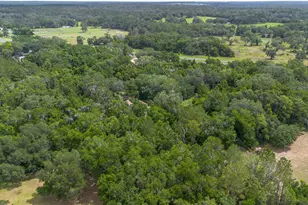 13586 N US Hwy 27, Ocala, FL 34482 - Photo 18