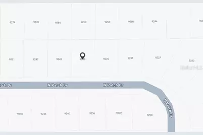 9239 N Patch Drive, Dunnellon, FL 34434 - Photo 2