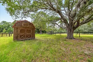 6350 NW 135th Ave, Morriston, FL 32668 - Photo 10