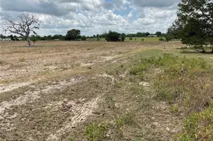 9750 NE 49th St, Bronson, FL 32621 - Photo 8