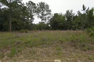 Lot 40 SW South Wind Ct, Dunnellon, FL 34431 - Photo 1