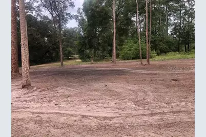 10555 NE 152nd Place, Fort Mc Coy, FL 32134 - Photo 44