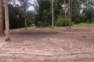 10555 NE 152 Pl, Fort Mc Coy, FL 32134 - Photo 44