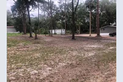 10555 NE 152nd Place, Fort Mc Coy, FL 32134 - Photo 48