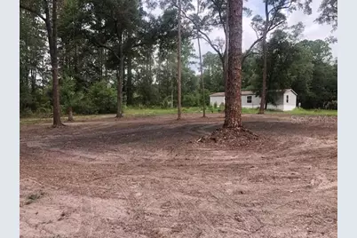 10555 NE 152nd Place, Fort Mc Coy, FL 32134 - Photo 46