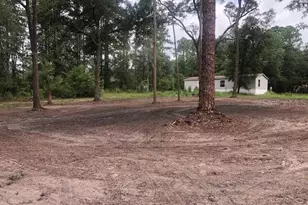 10555 NE 152 Pl, Fort Mc Coy, FL 32134 - Photo 46