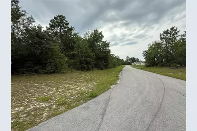 Tba SW 138th Lane, Ocala, FL 34473 - Photo 4