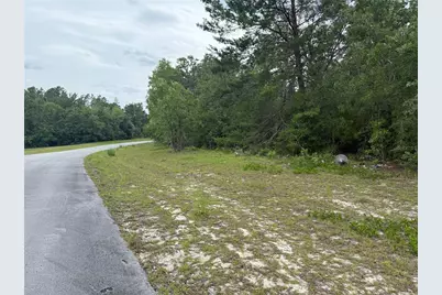 Tba SW 138th Lane, Ocala, FL 34473 - Photo 8