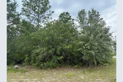 Tba SW 138th Lane, Ocala, FL 34473 - Photo 1