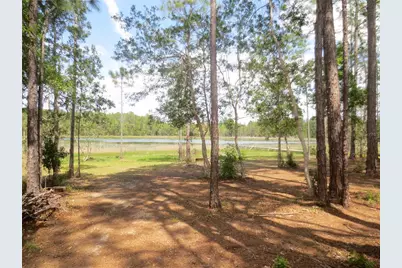 0 SE 10th Street, Silver Springs, FL 34488 - Photo 4