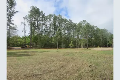 0 SE 10th Street, Silver Springs, FL 34488 - Photo 10
