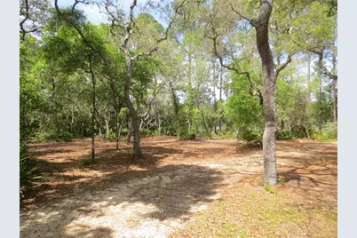 0 SE 10th Street, Silver Springs, FL 34488 - Photo 2