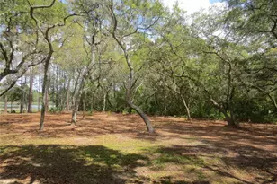 0 SE 10th St, Silver Springs, FL 34488 - Photo 1