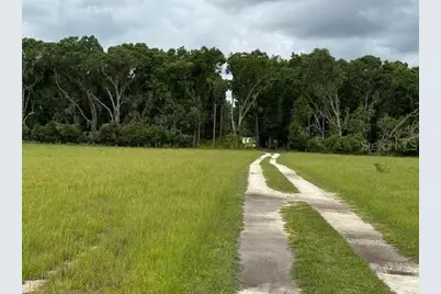 Ne 141, Citra, FL 32113 - Photo 4