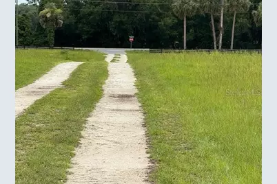 Ne 141, Citra, FL 32113 - Photo 2