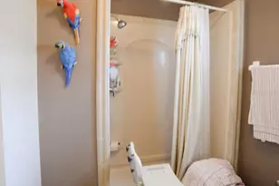 6190 SW 84th Pl, Ocala, FL 34476 - Photo 12