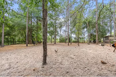 16082 SW 24th Place, Ocala, FL 34481 - Photo 22