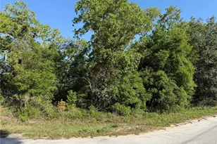 Tbd SE 154th St, Summerfield, FL 34491 - Photo 1